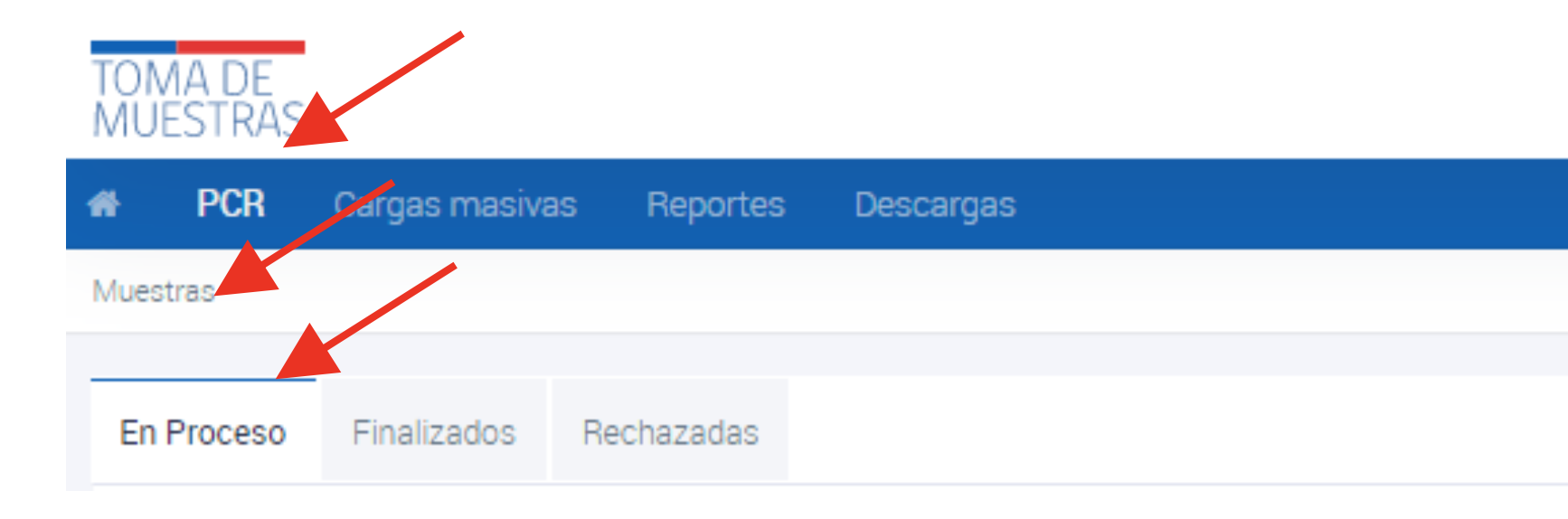 Pestañas: En Proceso, Finalizados y Rechazadas